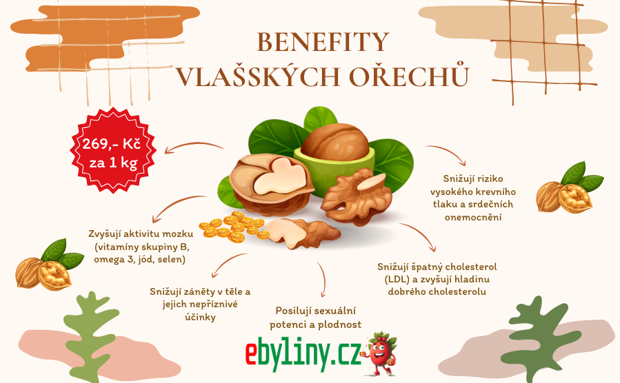 Vlašské ořechy